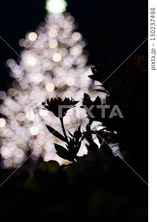 東京恵比寿ガーデンプレイスの夜景 東京恵比寿ガーデンプレイスの夜景 130237498