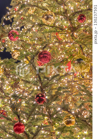 東京恵比寿ガーデンプレイスのクリスマスツリー 130237501
