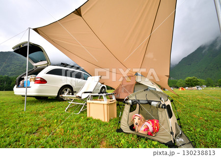 愛犬と車でキャンプ 愛犬と車でキャンプ 130238813