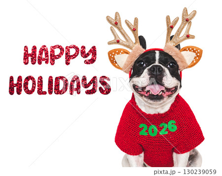 Happy Holidays. Puppy and congratulatory inscription 130239059