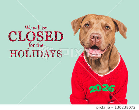 We will be closed for the Holidays. Cute dog and Santa hat We will be closed for the Holidays. Cute dog and Santa hat 130239072