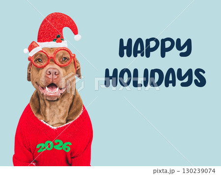 Happy Holidays. Dog and congratulatory inscription 130239074