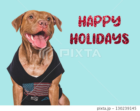 Happy Holidays. Lovable dog and congratulatory inscription 130239145