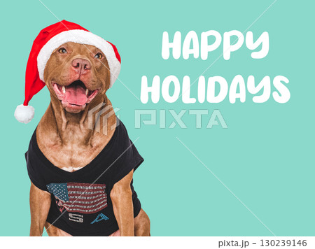 Happy Holidays. Lovable dog and congratulatory inscription 130239146