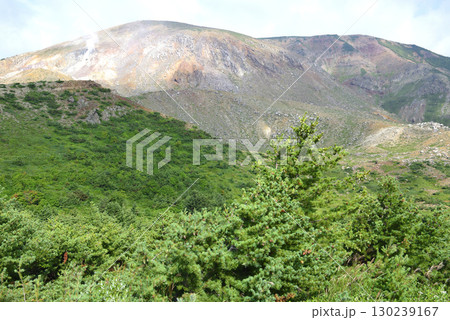 浄土平 浄土平 130239167