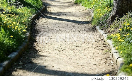 Sunlit Path Edged with Yellow Flowers and Concrete Borders in a Sunlit Path Edged with Yellow Flowers and Concrete Borders in a 130239242
