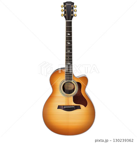 Guitar 130239362
