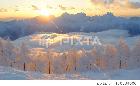 Golden Sunrise Illuminates Snow-Covered Mountains and Forest 130239680