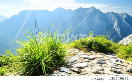 Lush Green Grass Overlooking Misty Mountain Peaks on a Sunny Day 130239681