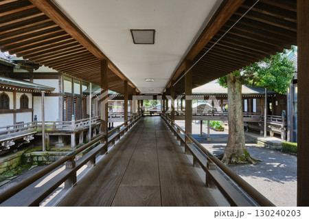 葛飾柴又　帝釈天　渡り廊下 130240203