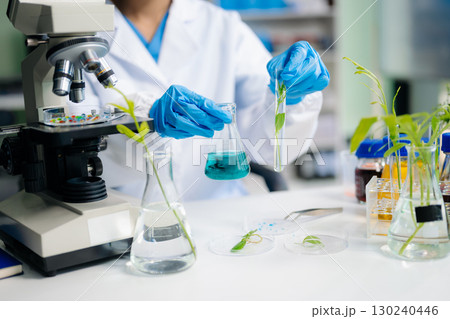 Food science as lab scientists test and analyze vegetables for safety and quality using advanced technology 130240446