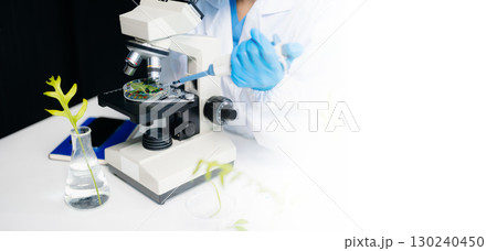 Food science as lab scientists test and analyze vegetables for safety and quality using advanced technology 130240450
