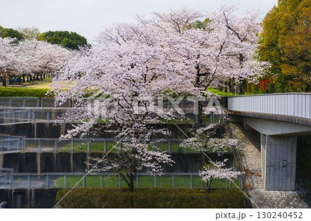 多摩センター　宝野公園　橋 130240452