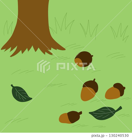 木陰の下に落ちた栗やどんぐり 130240530