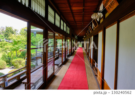 葛飾柴又 帝釈天 大客殿 葛飾柴又 帝釈天 大客殿 130240562