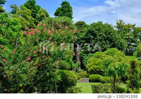 葛飾柴又　帝釈天　邃渓園 130241308