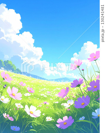 コスモス　草原　青空 130241481