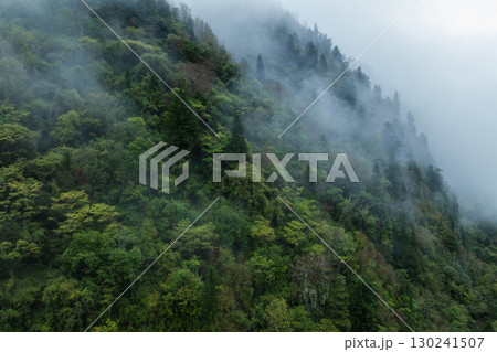 Aerial view of beautiful autumn forest landscape in the sunrise 130241507