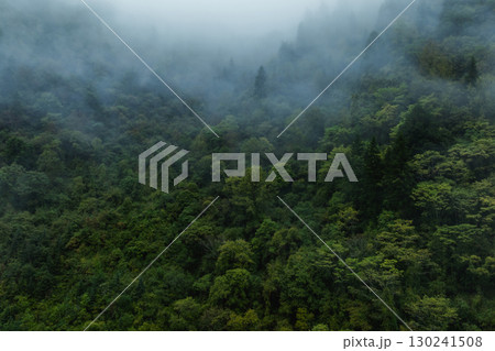 Aerial view of beautiful autumn forest landscape in the sunrise 130241508