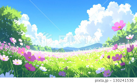 コスモス 草原 青空 コスモス 草原 青空 130241530
