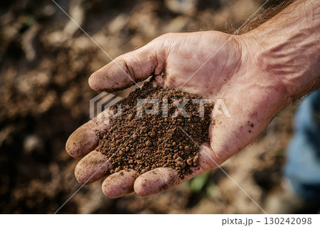 farmer hand holding soil sample, symbolizing sustainable farming practices and land management 130242098