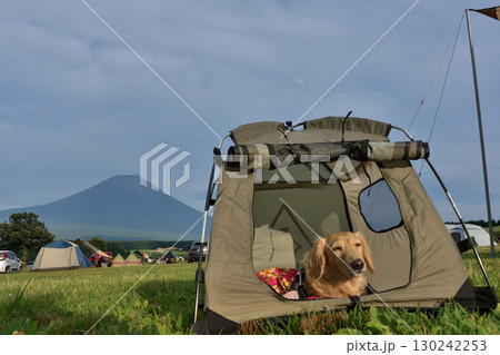 愛犬と車でキャンプ 130242253