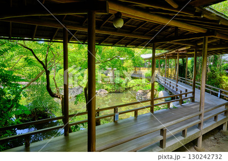 葛飾柴又　帝釈天　邃渓園 130242732