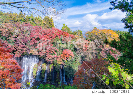【紅葉素材】秋の富士宮市の白糸の滝・雲に見え隠れする富士山【静岡県】 【紅葉素材】秋の富士宮市の白糸の滝・雲に見え隠れする富士山【静岡県】 130242981
