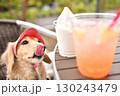 アイスクリームを欲しそうに見つめる犬 130243479
