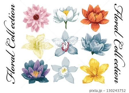 手書き風の花のイラストセット 130243752