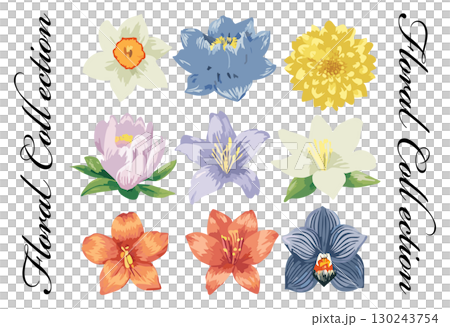 手書き風の花のイラストセット 130243754