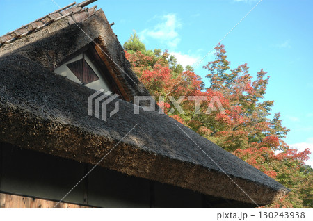 Old japanese house / 高級旅館の秋のイメージ (高級料亭の秋のイメージ) Old japanese house / 高級旅館の秋のイメージ (高級料亭の秋のイメージ) 130243938
