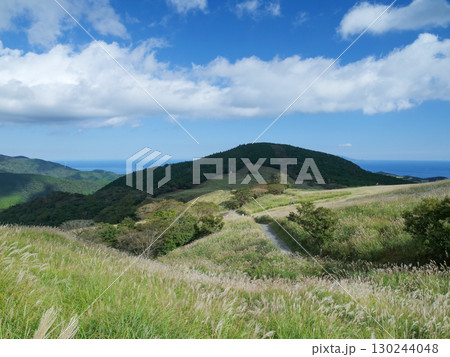 静岡県_東伊豆町_稲取細野高原 静岡県_東伊豆町_稲取細野高原 130244048