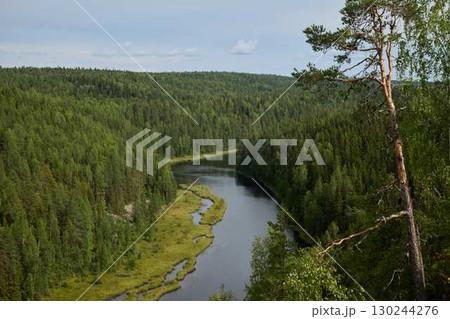 The Serene River Gently Meandering Through the Lush Green Forest is a True Wonder of Nature 130244276