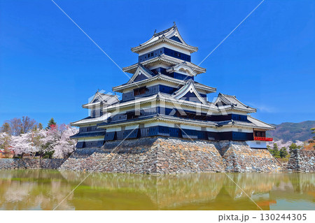 【長野県】桜咲く春の松本城 天守（現存天守） 130244305