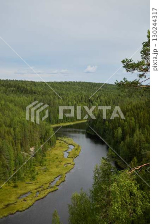 A Serene and Peaceful River Flowing Gently Through a Lush and Beautiful Green Forest Landscape A Serene and Peaceful River Flowing Gently Through a Lush and Beautiful Green Forest Landscape 130244317