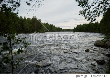 The Peaceful River is Beautifully Surrounded by a Lush Green Forest Full of Life 130244318