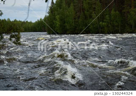 The Dynamic Flow of a Raging River Flowing Through a Lush Green Forest Surrounding it The Dynamic Flow of a Raging River Flowing Through a Lush Green Forest Surrounding it 130244324