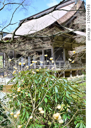 京都 勝林院 京都 勝林院 130244456