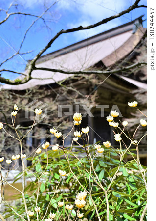 京都　勝林院 130244457