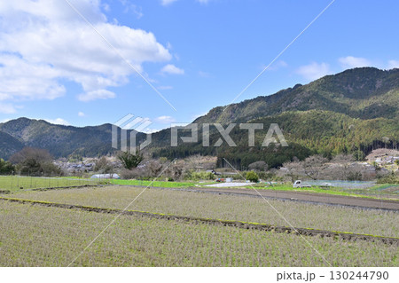 大原三千院 大原三千院 130244790