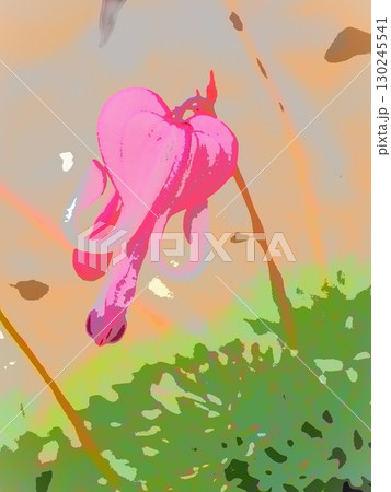 コマクサ(afr20250822091932) コマクサ(afr20250822091932) 130245541