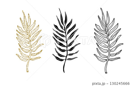 Palm leaves line art, silhouette and glitter simple hand drawn vector illustration set, isolate on white background Palm leaves line art, silhouette and glitter simple hand drawn vector illustration set, isolate on white background 130245666