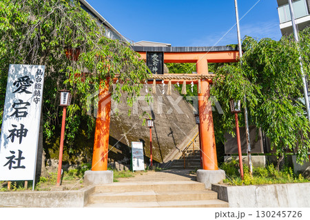 仙台総鎮守の愛宕神社（火防鎮護と辰巳歳生一代守護の御利益）一の鳥居　太白区向山 130245726
