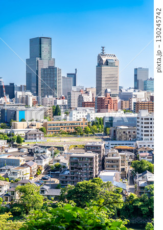 仙台総鎮守の愛宕神社の境内から仙台市都心部の高層ビルを一望（トラストタワーとSS30） 130245742