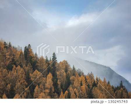 Autumn forest landscape with foggy mountain scenery 130245743