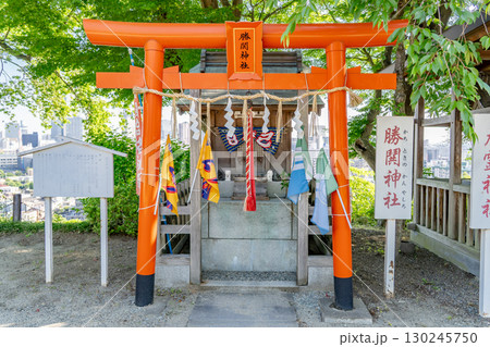 仙台総鎮守の愛宕神社 境内社 勝鬨神社(かちときのかんやしろ)勝負事、スポーツの神 仙台総鎮守の愛宕神社 境内社 勝鬨神社(かちときのかんやしろ)勝負事、スポーツの神 130245750