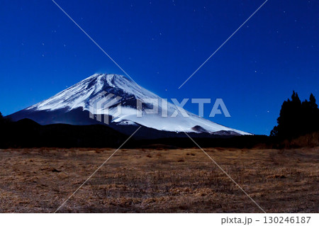 幻想的な富士山と麓の草原 幻想的な富士山と麓の草原 130246187