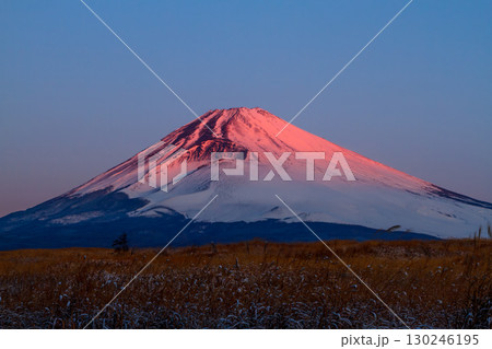 美しく赤く染まった早朝の富士山 130246195