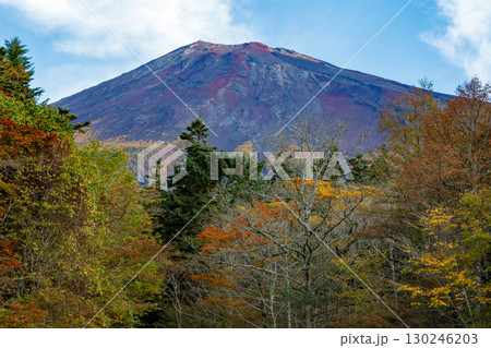 色彩豊かな朝の富士山の岩肌 色彩豊かな朝の富士山の岩肌 130246203